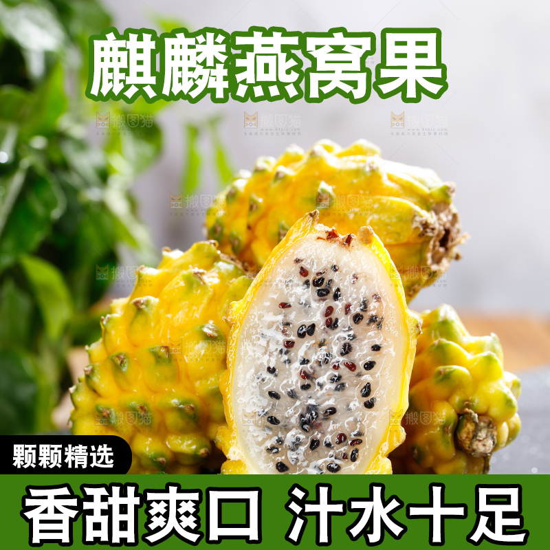 深底上的燕窝果
