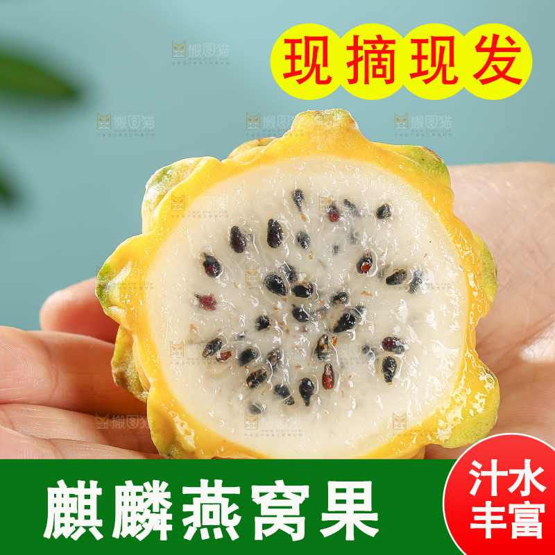 浅底上的燕窝果