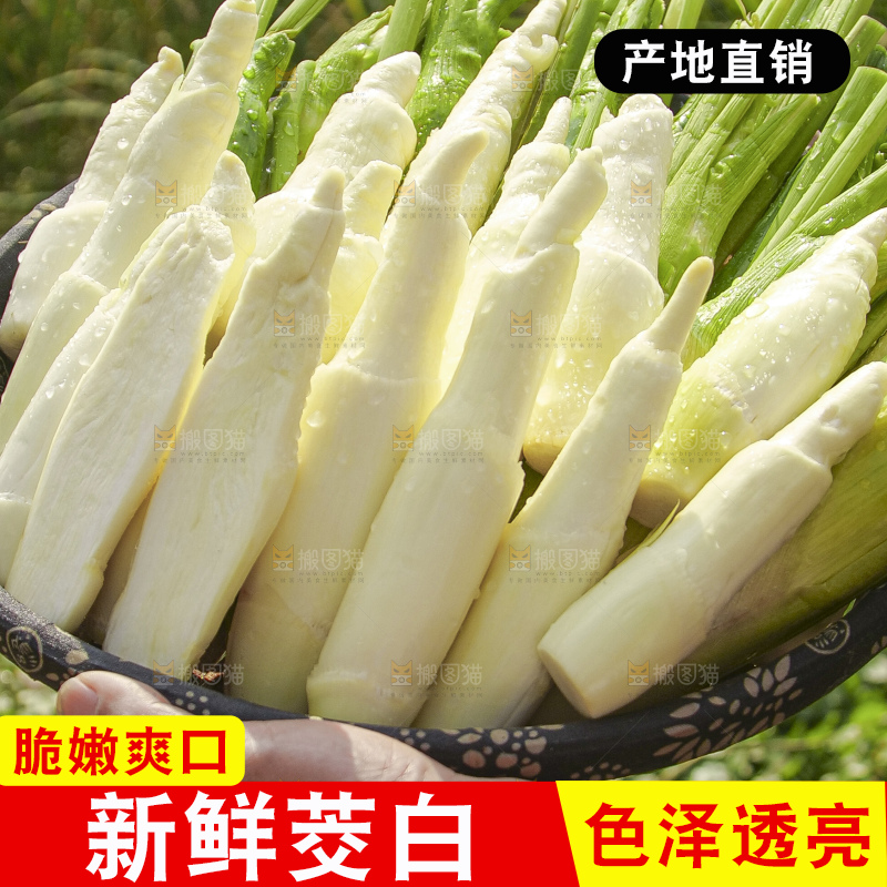 手里拿着新鲜茭白