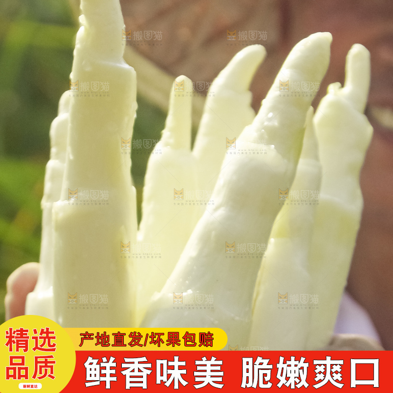 手里拿着新鲜茭白