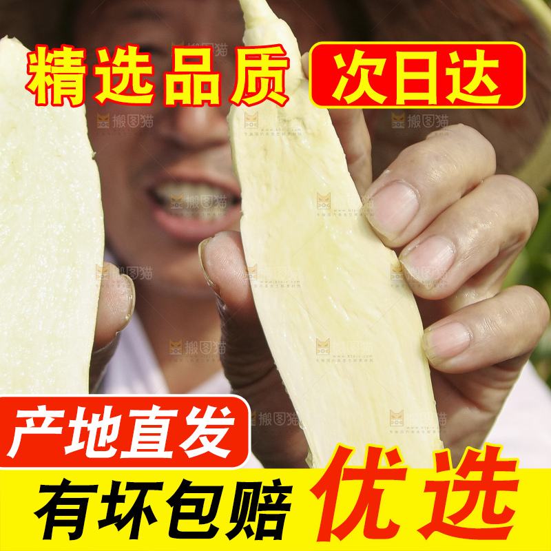 手里拿着新鲜茭白