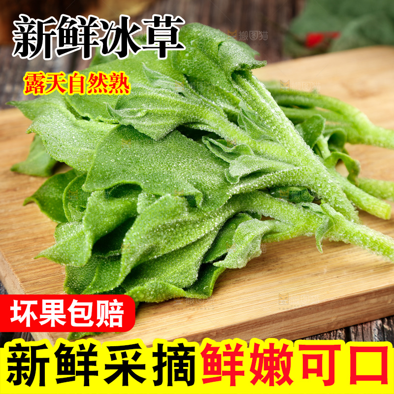 深底上的冰草