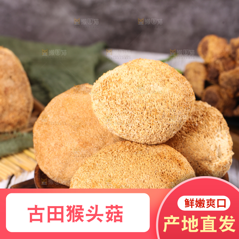 木底上的猴头菇