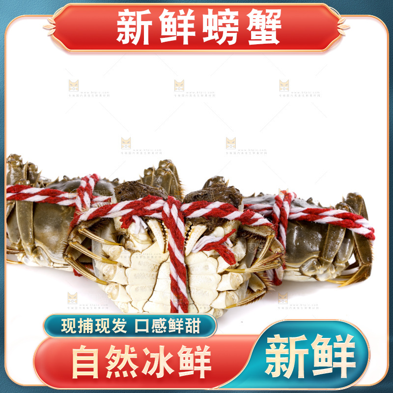 白底上的大闸蟹