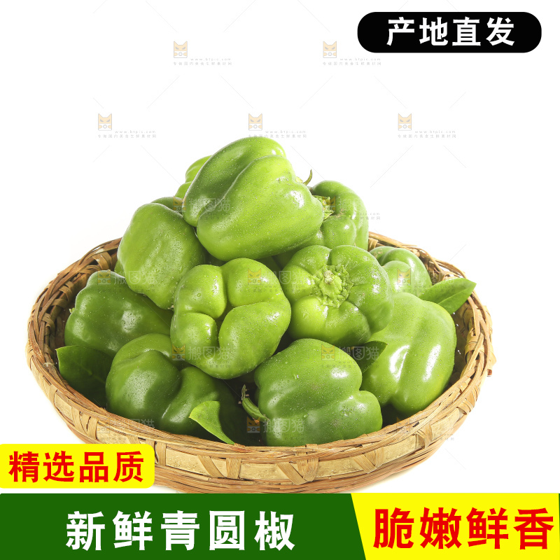 白底上的青圆椒