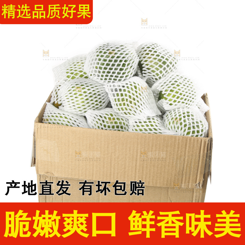 白底上的青圆椒
