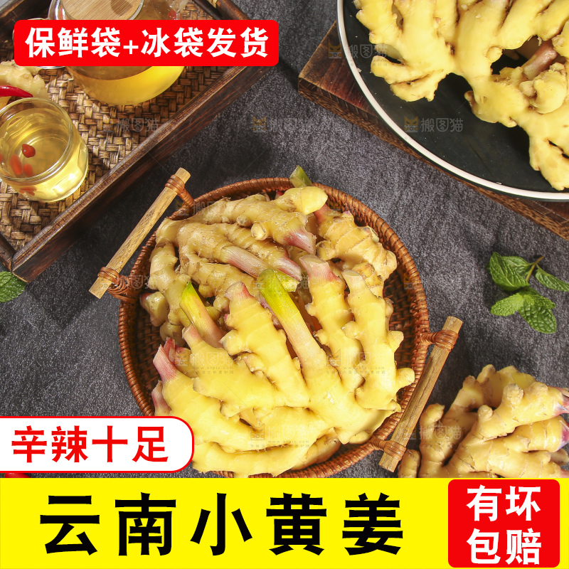 深底上的小黄姜