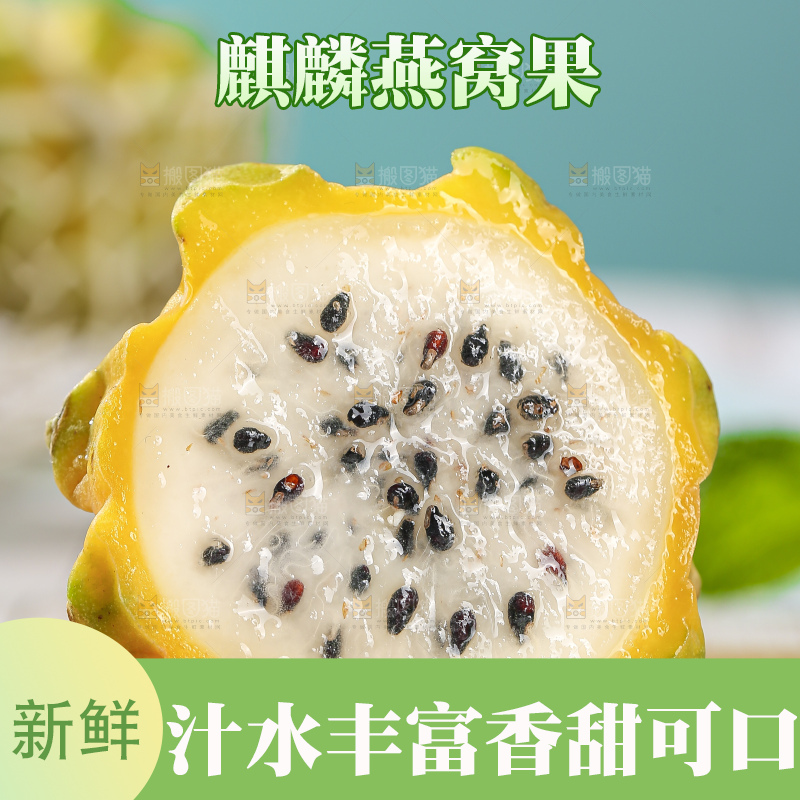 浅底上的燕窝果