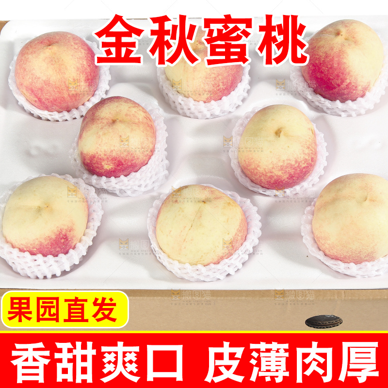 白底上的金秋红蜜桃
