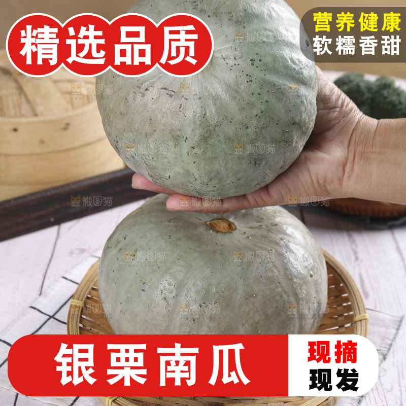 浅底上的银栗南瓜