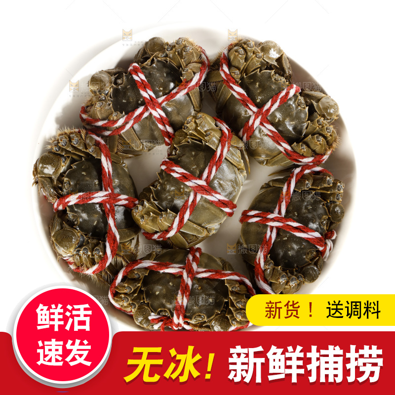 白底上的大闸蟹