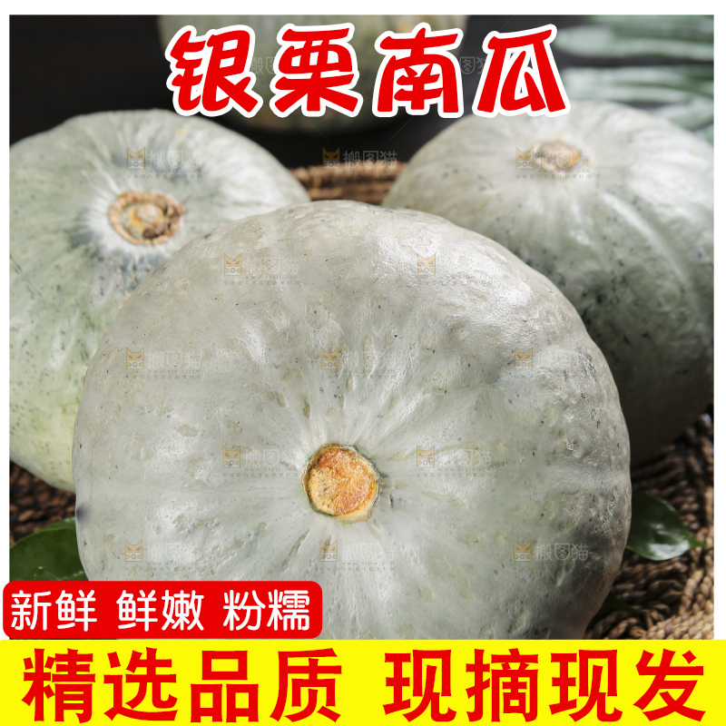 深底上的银栗南瓜