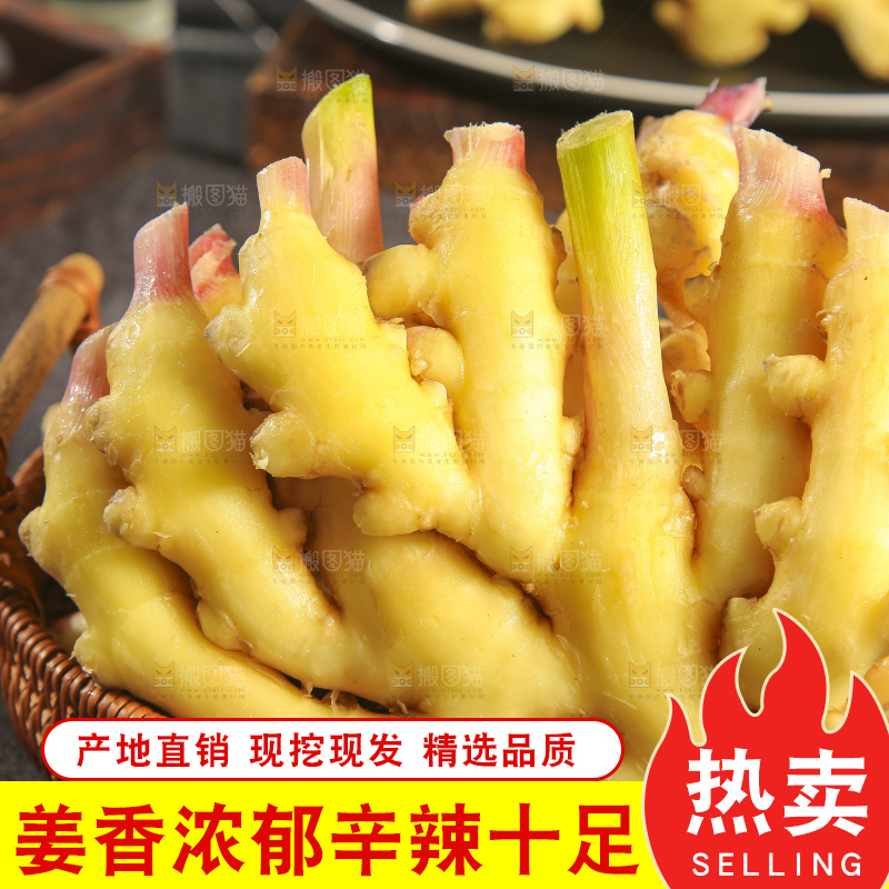 深底上的小黄姜