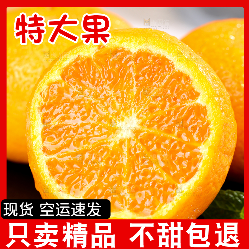 浅底上的爱媛果冻橙