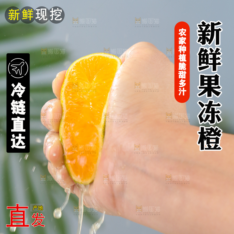 浅底上的爱媛果冻橙
