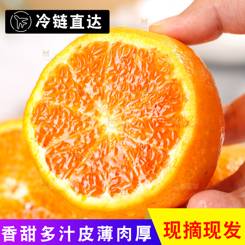 浅底上的爱媛果冻橙