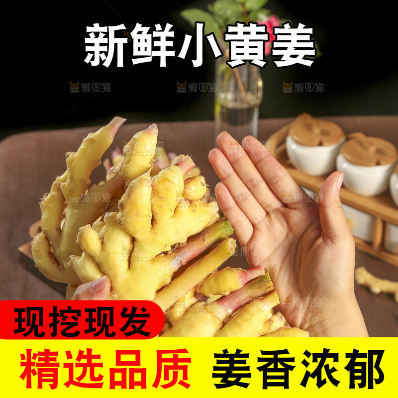 深底上的小黄姜