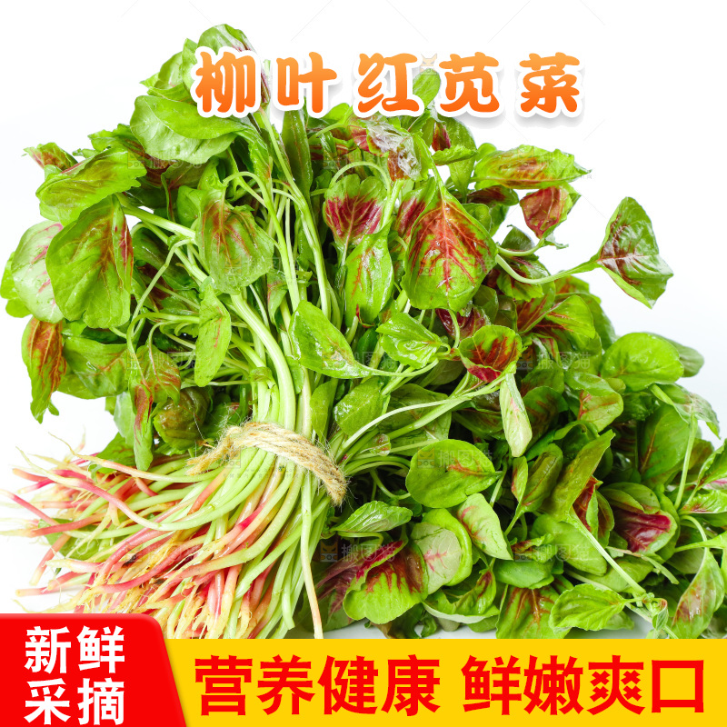 白底上的农家苋菜