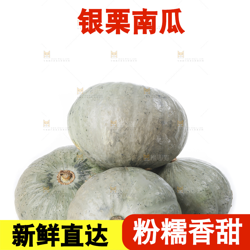 白底上的银栗南瓜