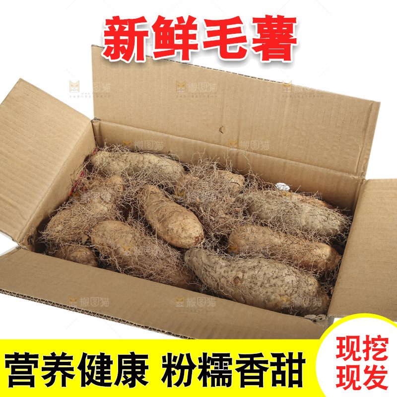 白底上的新鲜毛薯