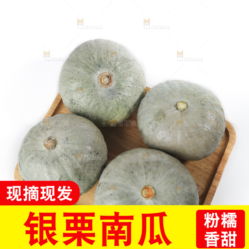 白底上的银栗南瓜