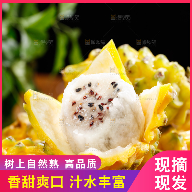 深底上的燕窝果