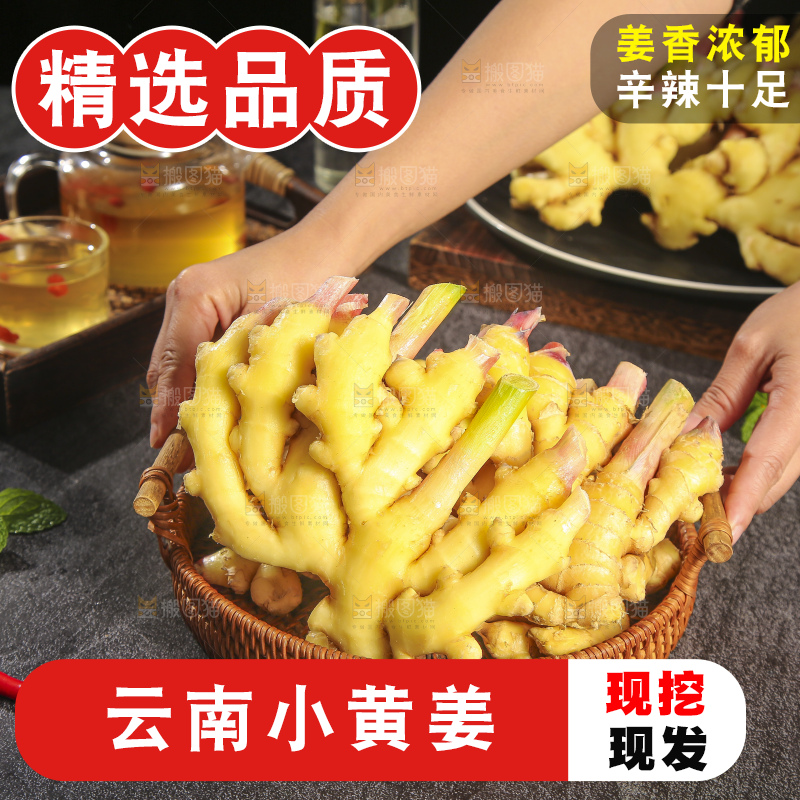 深底上的小黄姜