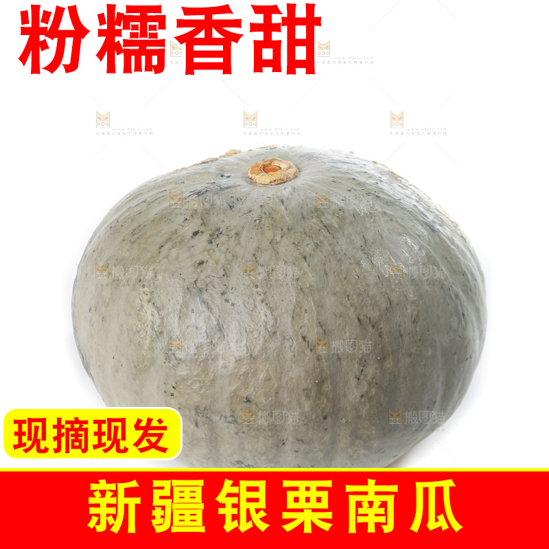 白底上的银栗南瓜