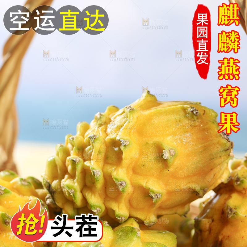 浅底上的燕窝果