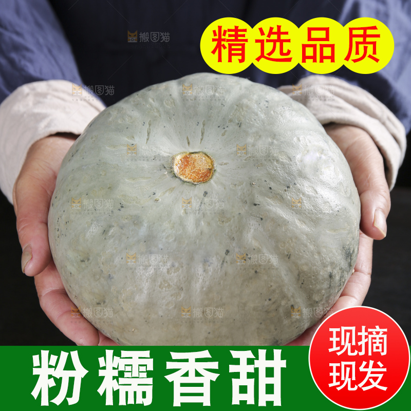 深底上的银栗南瓜