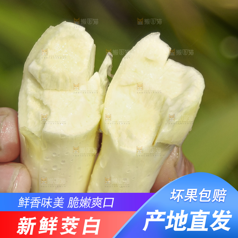 手里拿着新鲜茭白