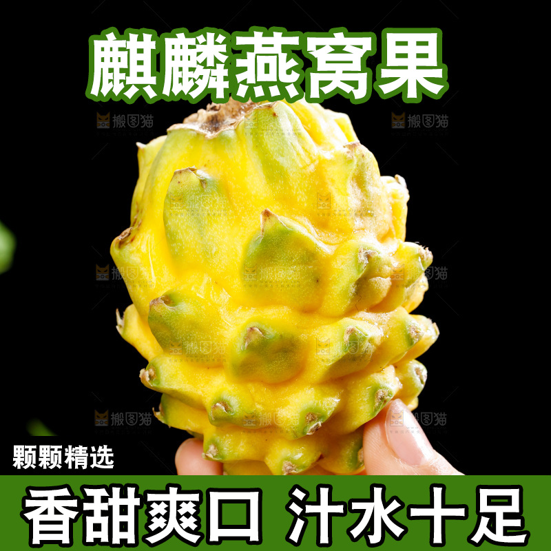 深底上的燕窝果