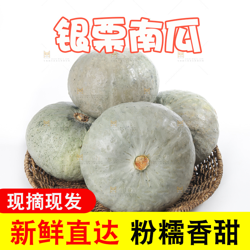 白底上的银栗南瓜