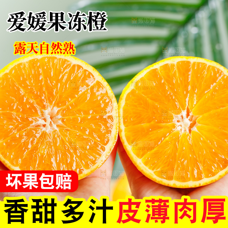 浅底上的爱媛果冻橙