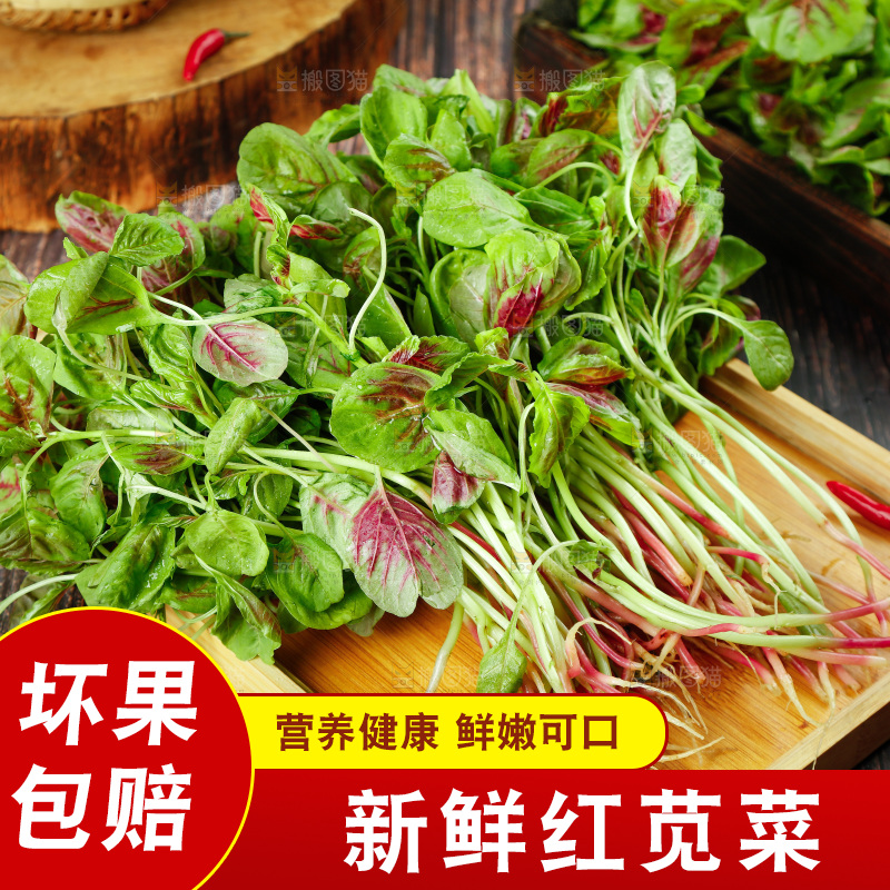 深底上的新鲜苋菜