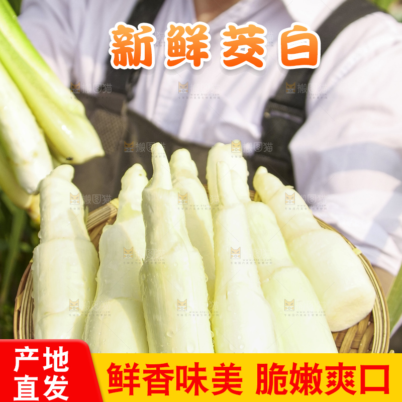 手里拿着新鲜茭白