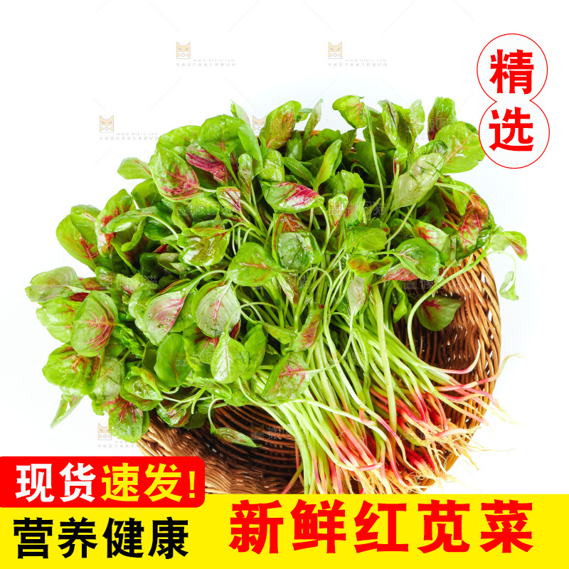 白底上的农家苋菜