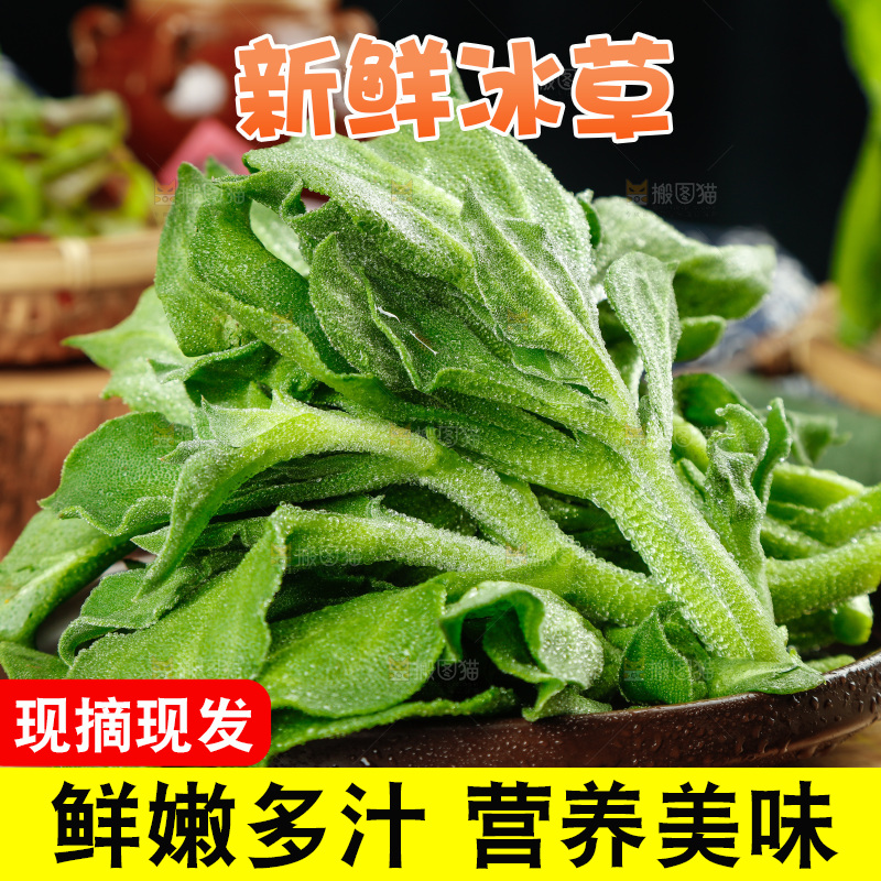 深底上的冰草