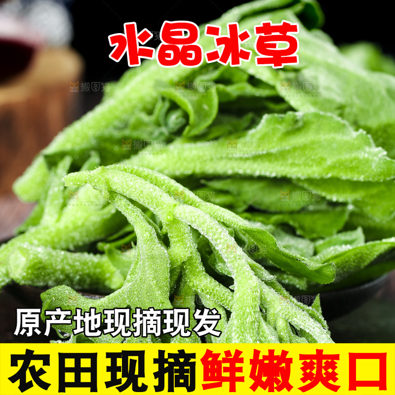 深底上的冰草