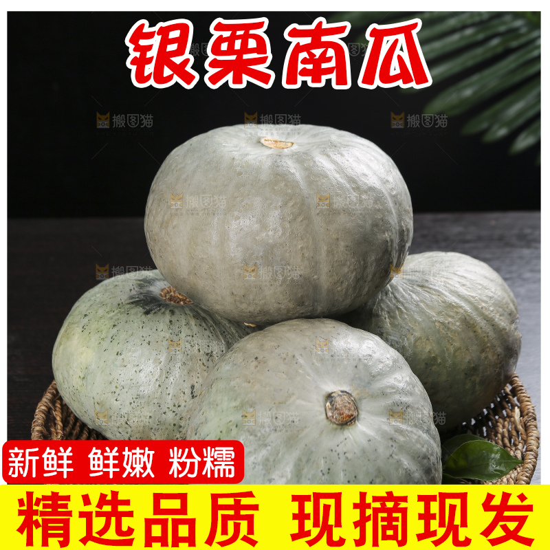 深底上的银栗南瓜