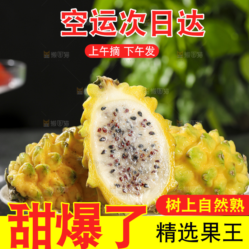 深底上的燕窝果