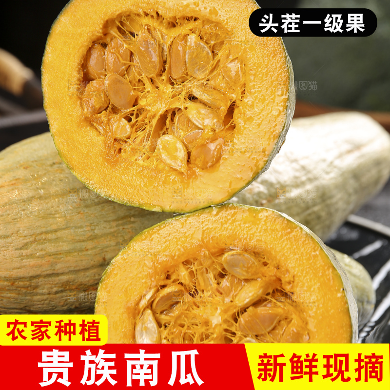 深底上的贵族南瓜