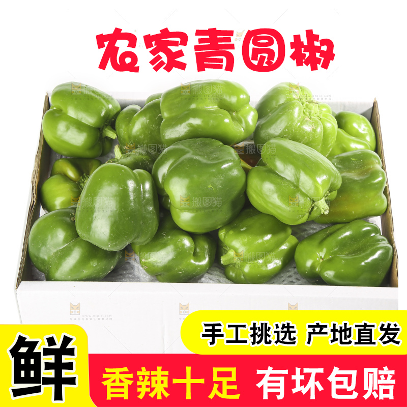 白底上的青圆椒