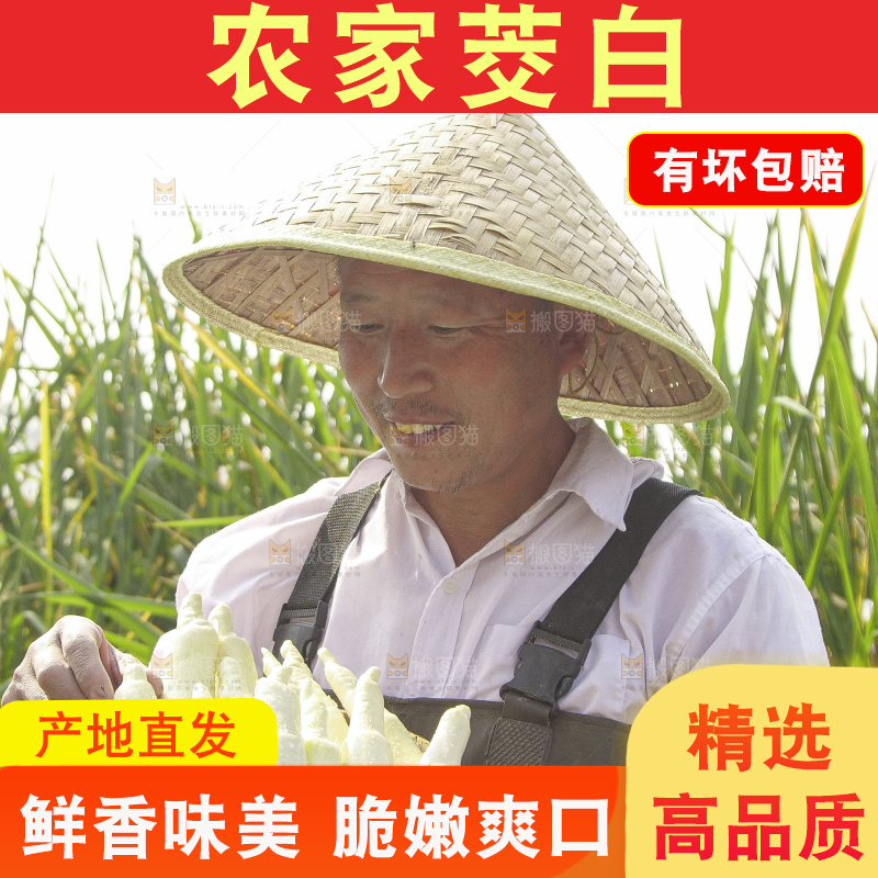 手里拿着新鲜茭白