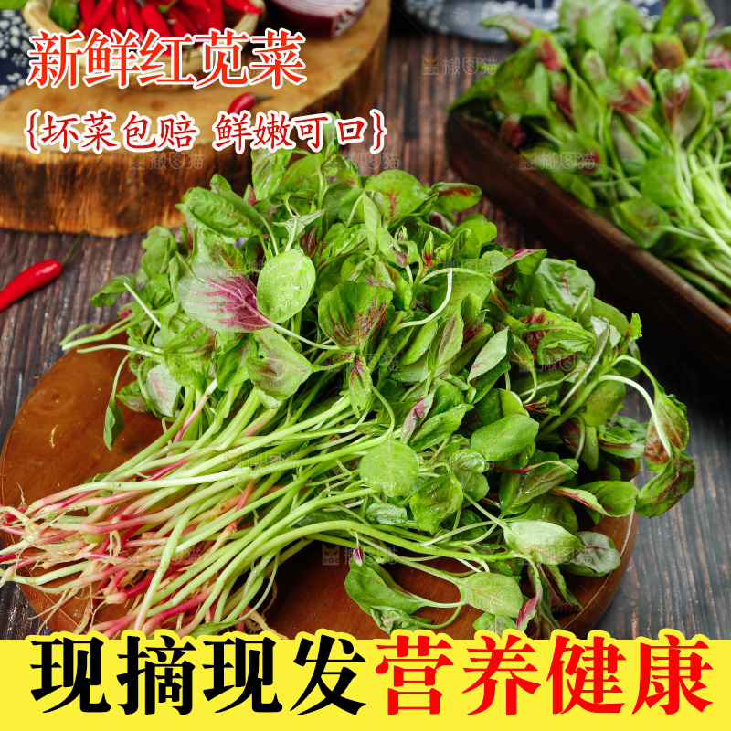 深底上的新鲜苋菜