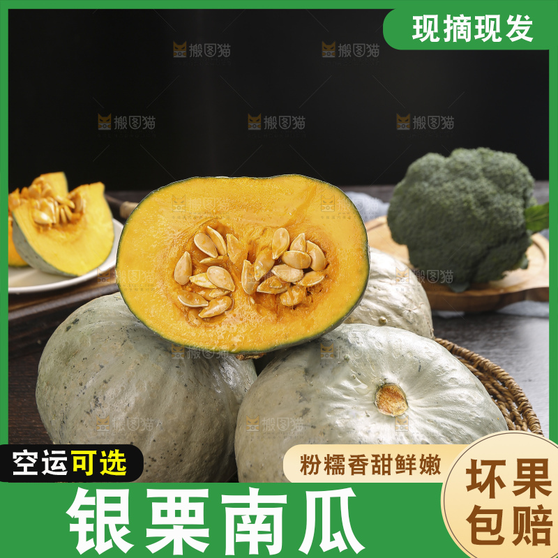 深底上的银栗南瓜