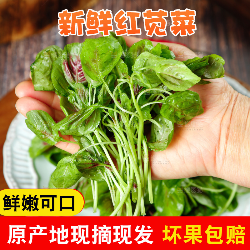 深底上的新鲜苋菜