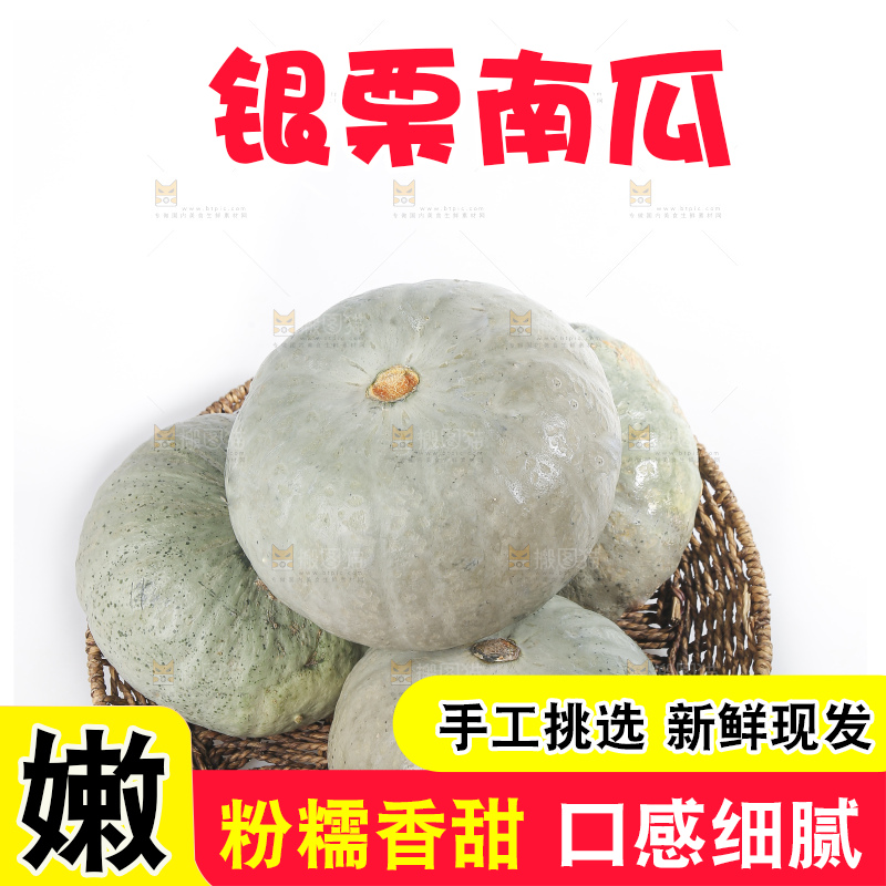 白底上的银栗南瓜