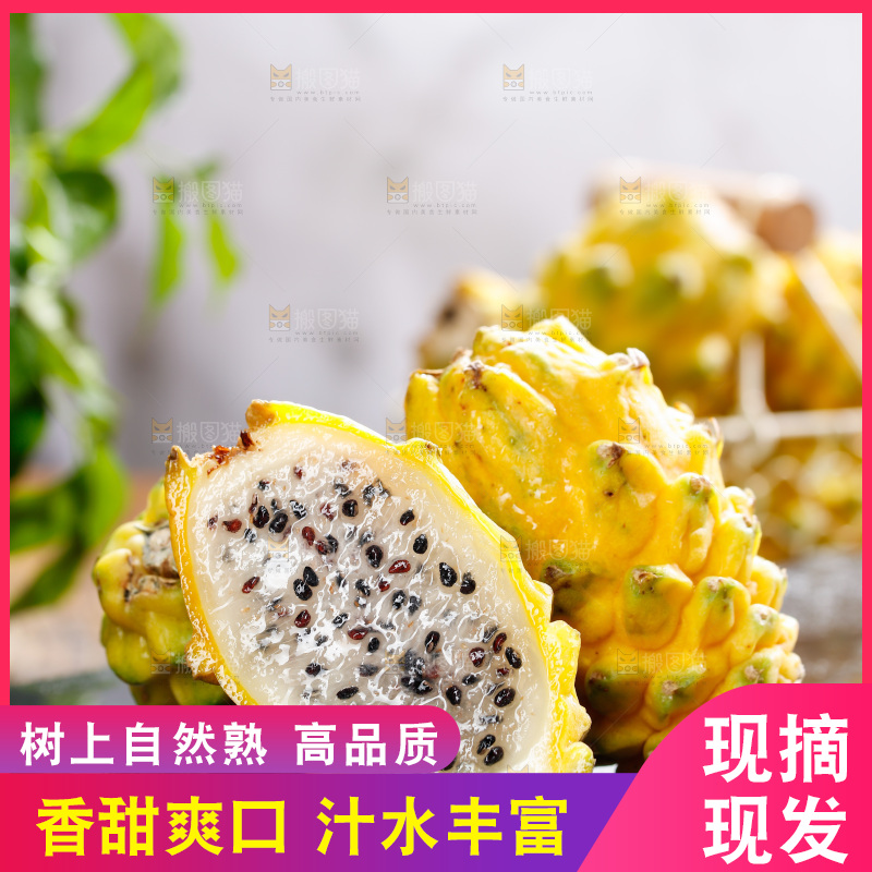 深底上的燕窝果