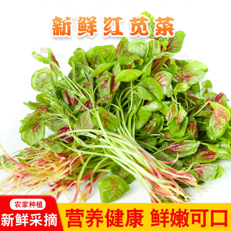 白底上的农家苋菜